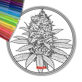 Beautiful Buds Creativity Mat Set